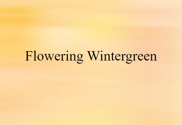 flowering wintergreen