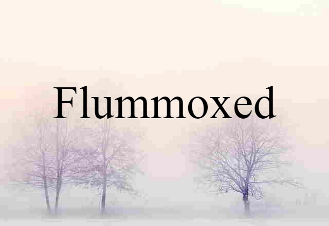 Flummoxed (noun) Definition, Meaning & Examples