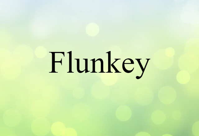 Flunkey (noun) Definition, Meaning & Examples