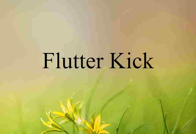 flutter kick