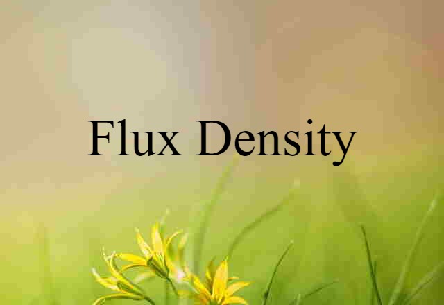 Flux Density (noun) Definition, Meaning & Examples