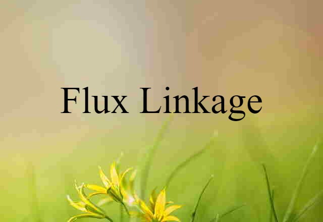 flux linkage