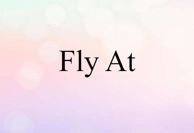 fly at