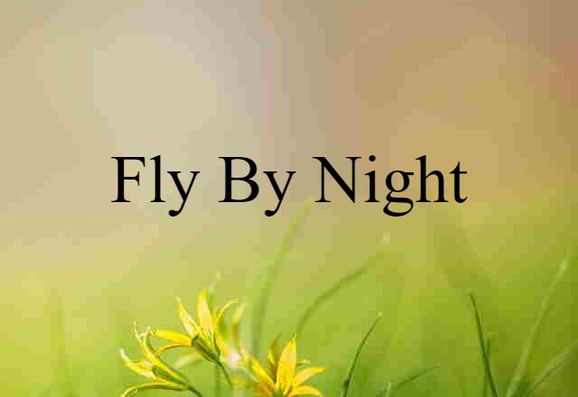 Fly By Night (noun) Definition, Meaning & Examples