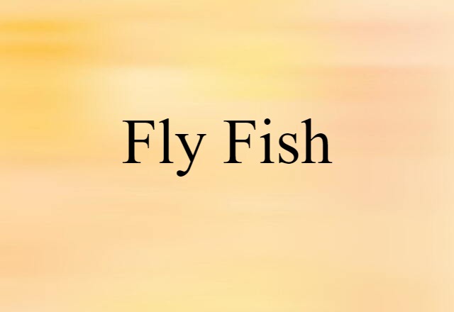 Fly-fish (noun) Definition, Meaning & Examples