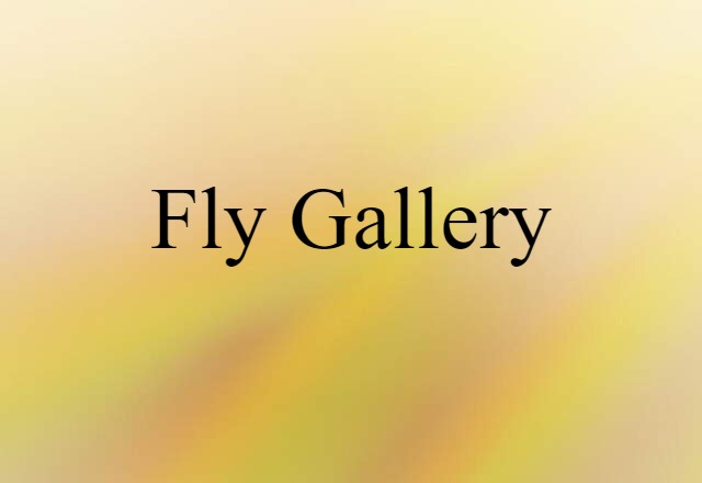 fly gallery