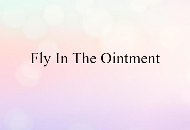 fly in the ointment