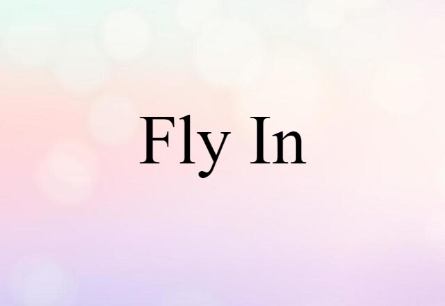 fly in