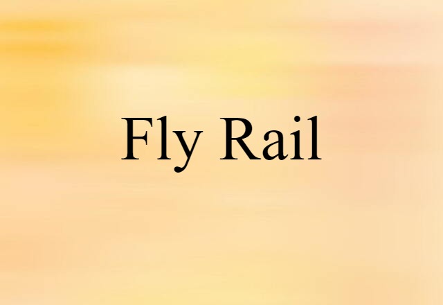 Fly Rail (noun) Definition, Meaning & Examples