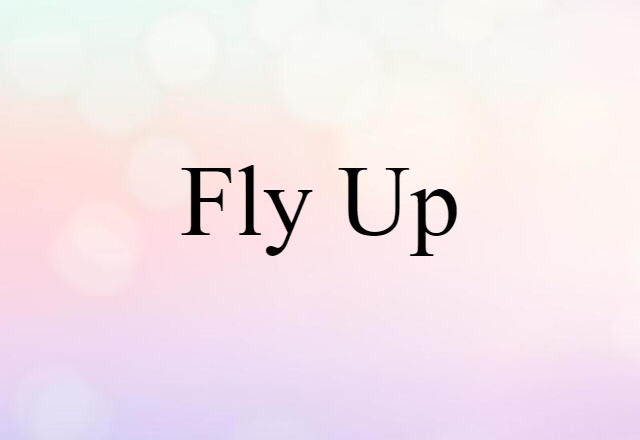 fly up