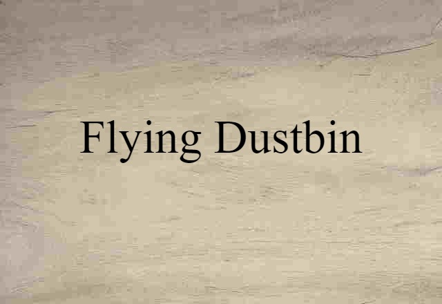 Flying Dustbin