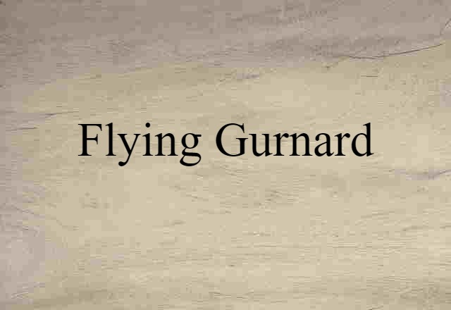 flying gurnard