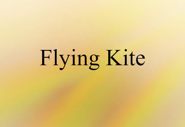 Flying Kite (noun) Definition, Meaning & Examples