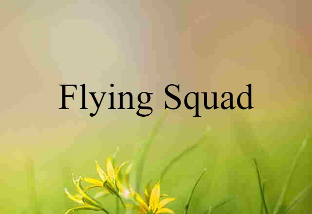 Flying Squad (noun) Definition, Meaning & Examples