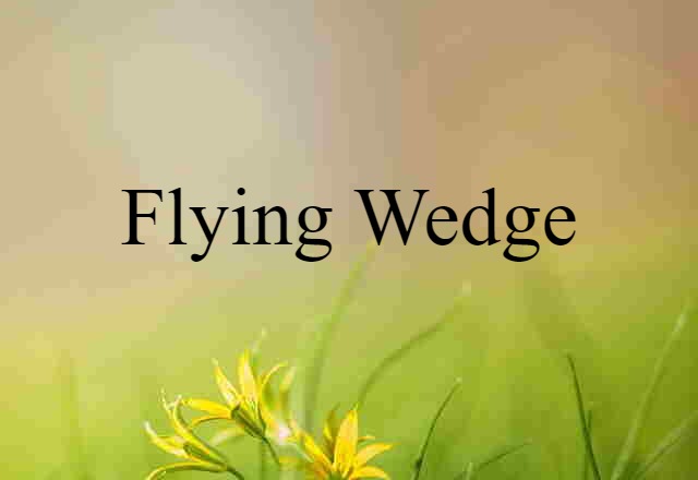 flying wedge