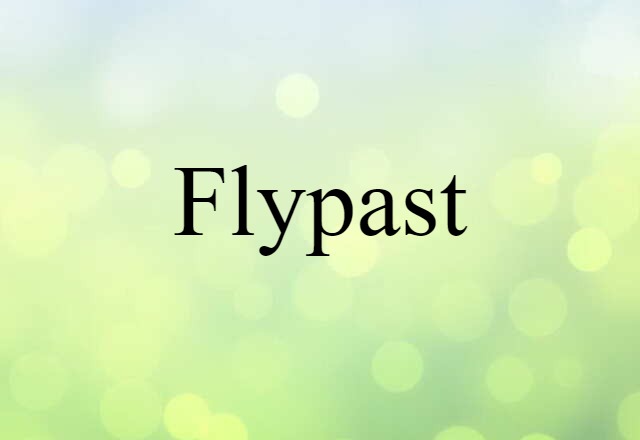 Flypast (noun) Definition, Meaning & Examples