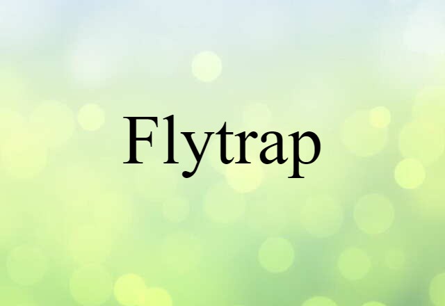 Flytrap (noun) Definition, Meaning & Examples