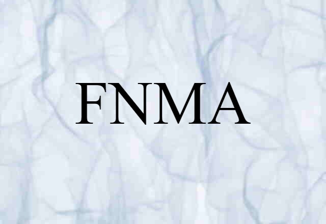 FNMA (noun) Definition, Meaning & Examples