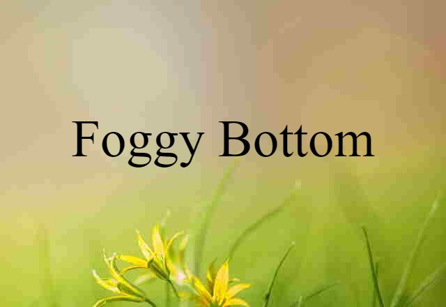 Foggy Bottom (noun) Definition, Meaning & Examples