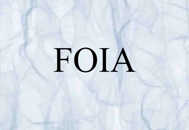 FOIA (noun) Definition, Meaning & Examples