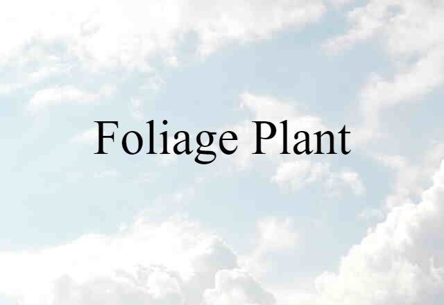 Foliage Plant (noun) Definition, Meaning & Examples