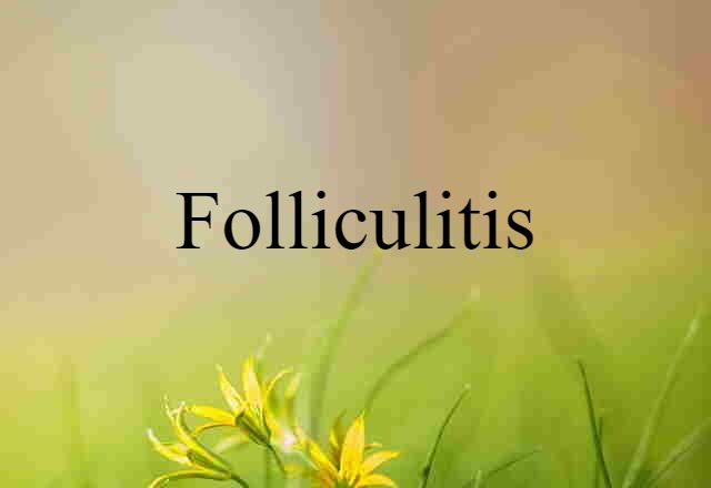 Folliculitis (noun) Definition, Meaning & Examples