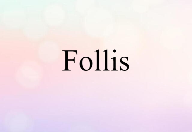 Follis (noun) Definition, Meaning & Examples