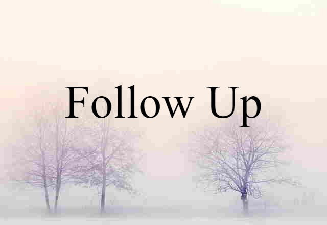 Follow-up (noun) Definition, Meaning & Examples