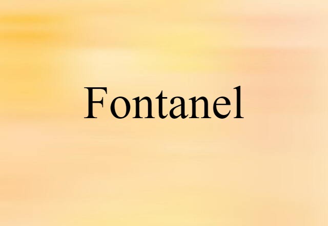 Fontanel (noun) Definition, Meaning & Examples