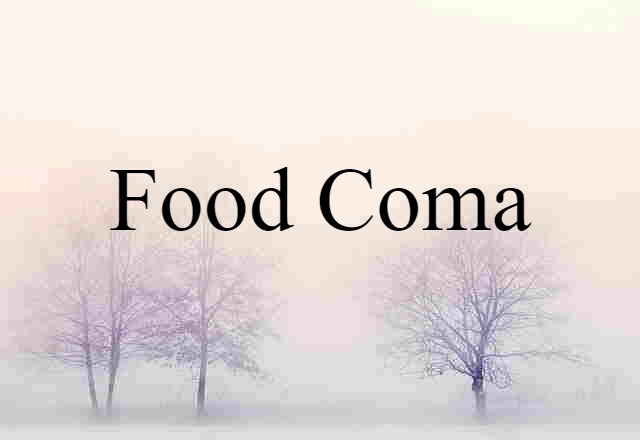 Food Coma (noun) Definition, Meaning & Examples