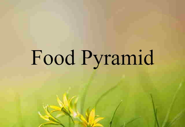 Food Pyramid (noun) Definition, Meaning & Examples