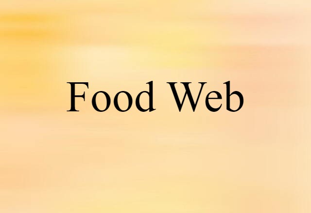 Food Web (noun) Definition, Meaning & Examples