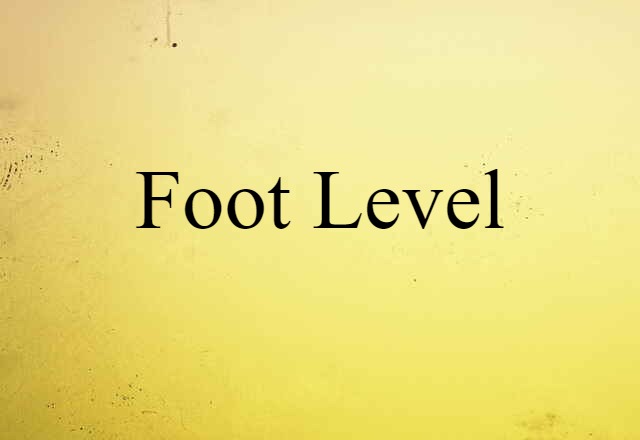 Foot Level (noun) Definition, Meaning & Examples