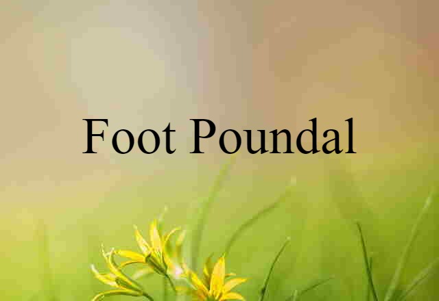 Foot-poundal (noun) Definition, Meaning & Examples