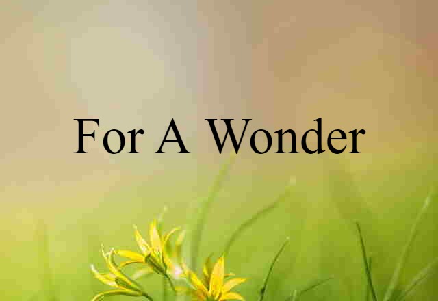 For A Wonder (noun) Definition, Meaning & Examples