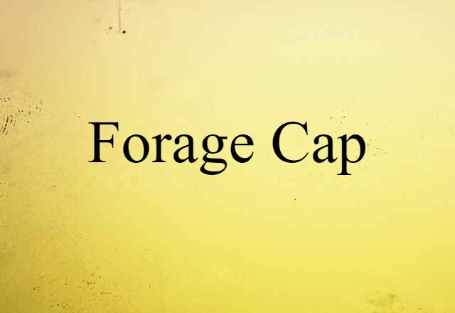 Forage Cap (noun) Definition, Meaning & Examples