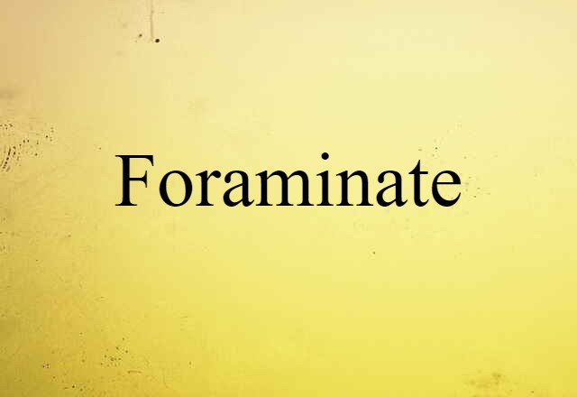 Foraminate (noun) Definition, Meaning & Examples