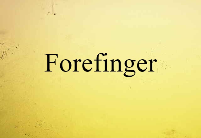 Forefinger (noun) Definition, Meaning & Examples