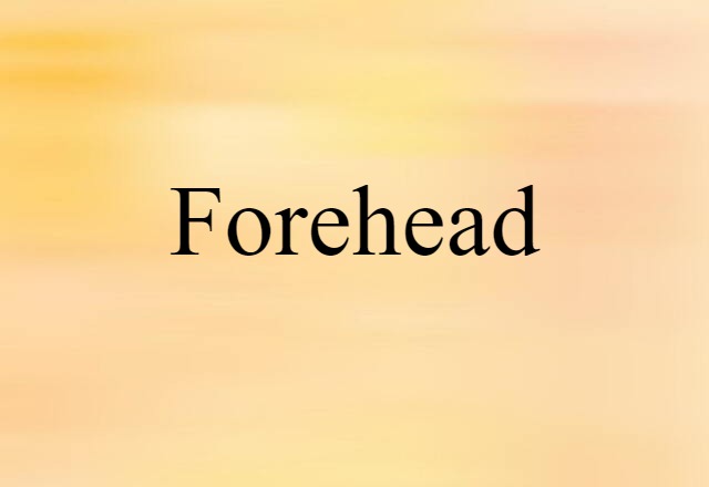 Forehead (noun) Definition, Meaning & Examples