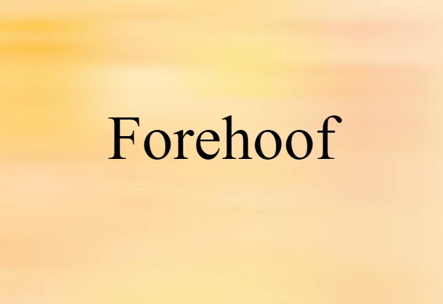 forehoof