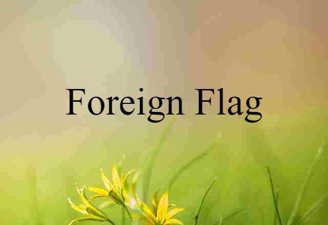 foreign-flag