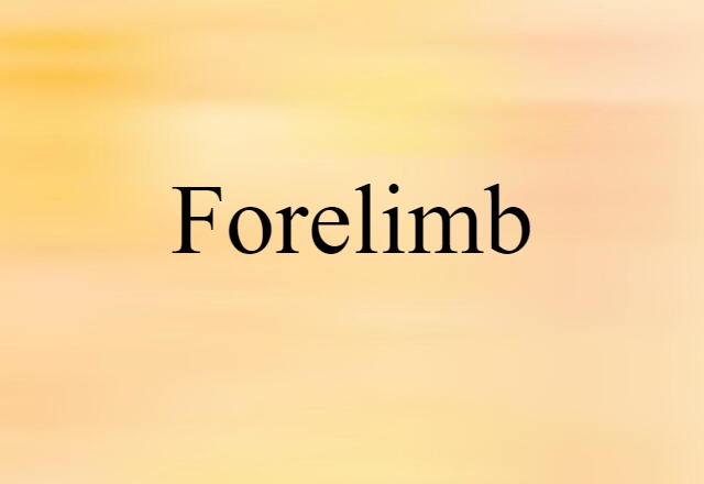 forelimb