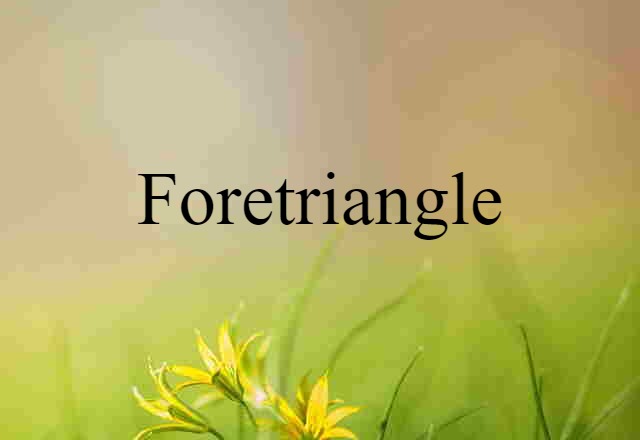 Foretriangle (noun) Definition, Meaning & Examples