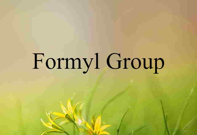 Formyl Group (noun) Definition, Meaning & Examples