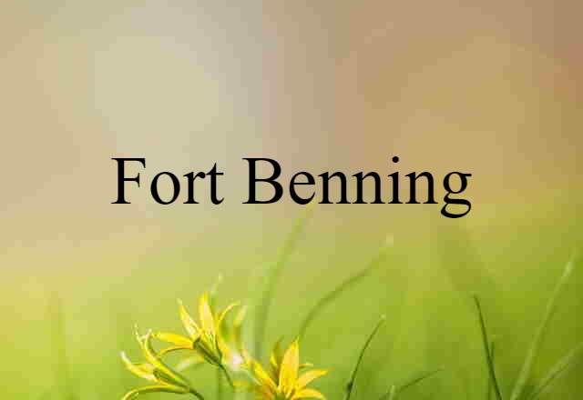 Fort Benning (noun) Definition, Meaning & Examples