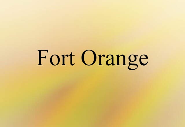 Fort Orange (noun) Definition, Meaning & Examples