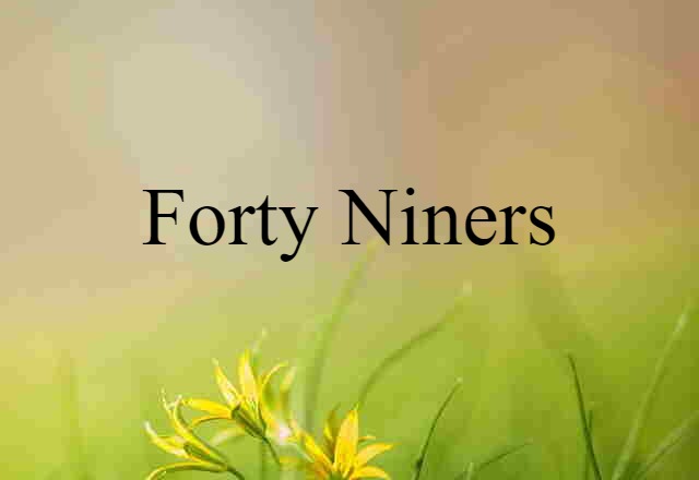 Forty Niners (noun) Definition, Meaning & Examples