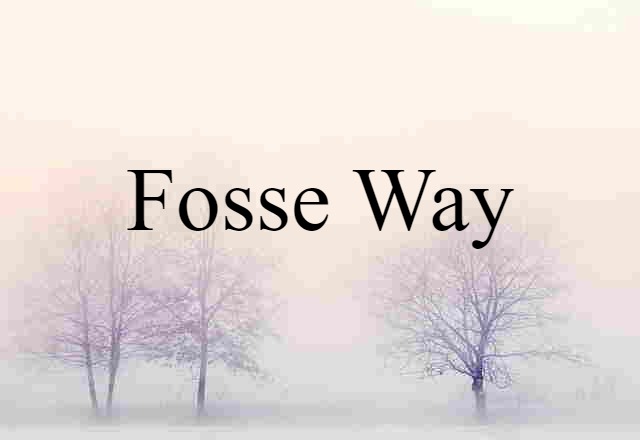 Fosse Way (noun) Definition, Meaning & Examples