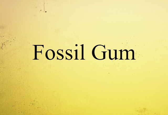 fossil gum