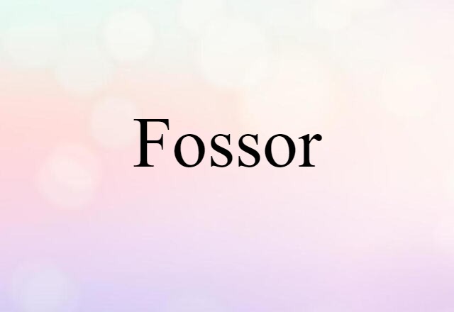 Fossor (noun) Definition, Meaning & Examples